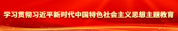 农村大粗鸡巴老头操小嫩逼视频学习贯彻习近平新时代中国特色社会主义思想主题教育